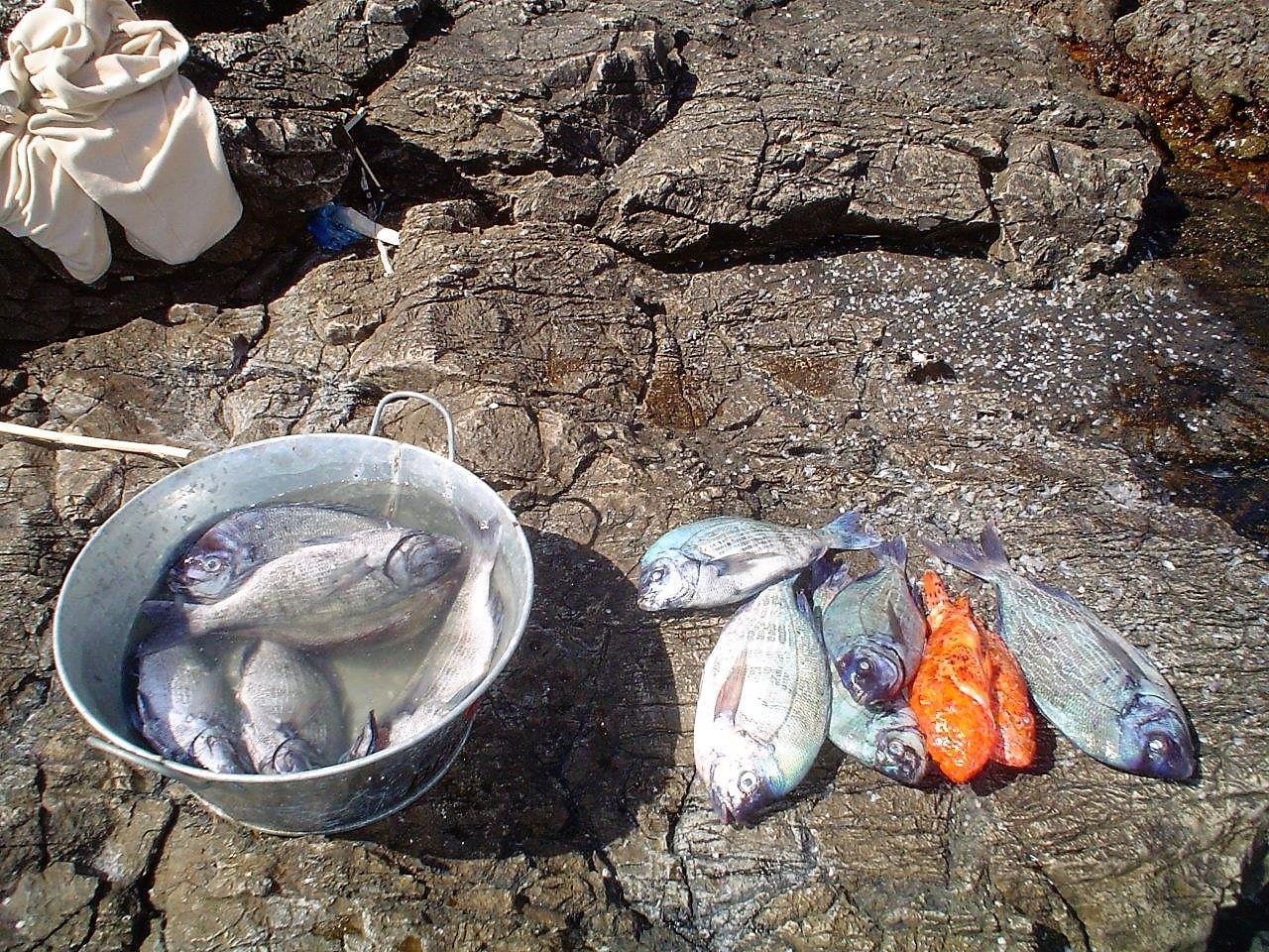 House Rak, Apartments Lac - Vis