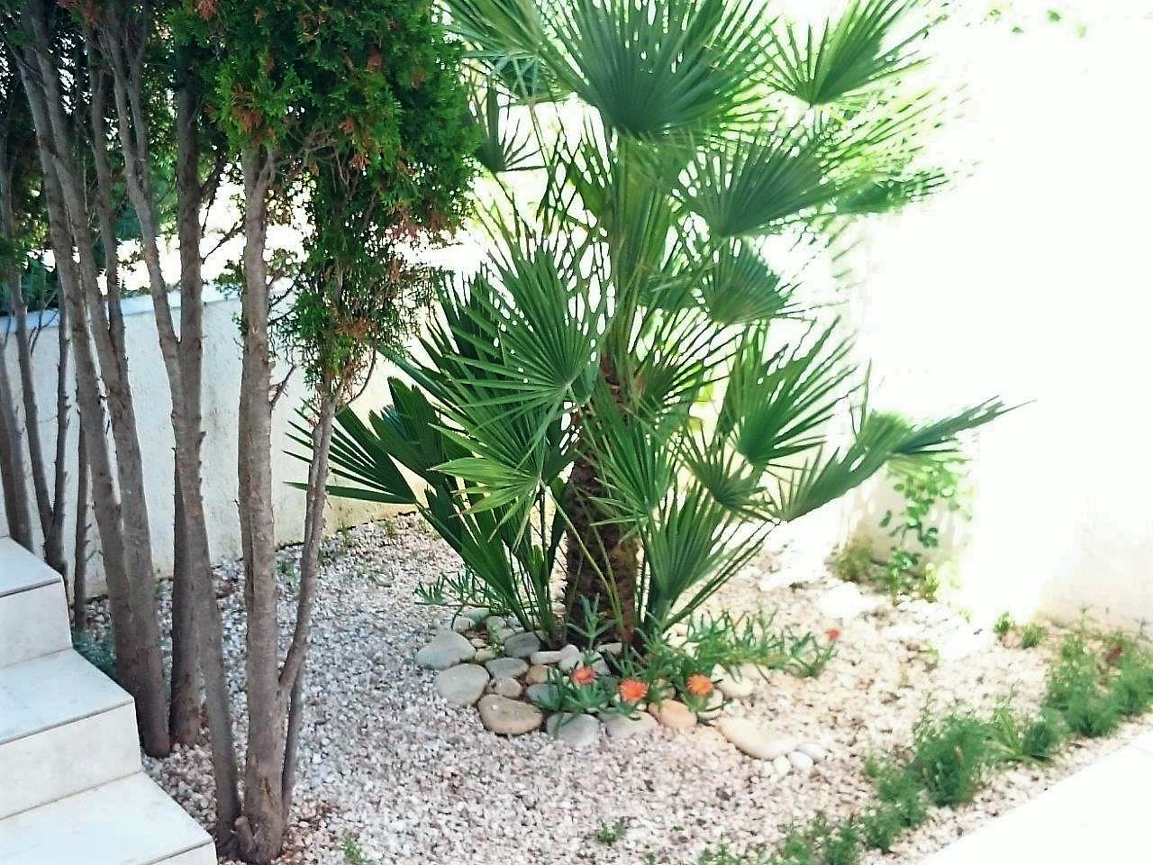 House Riba, Apartments Lac - Vis